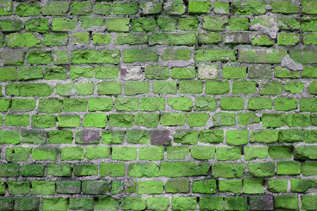 绿砖墙纹理图片