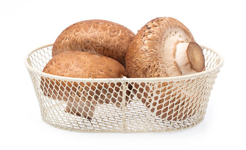白背景的篮子上的软骨蘑菇图片