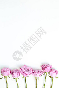 白色背景上的粉红色紫玫瑰花卉组合平躺顶视图片