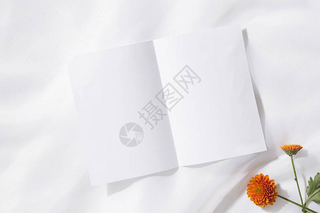 以两朵橙色花和一张带有文字空间的白纸为背景的动物布局图片