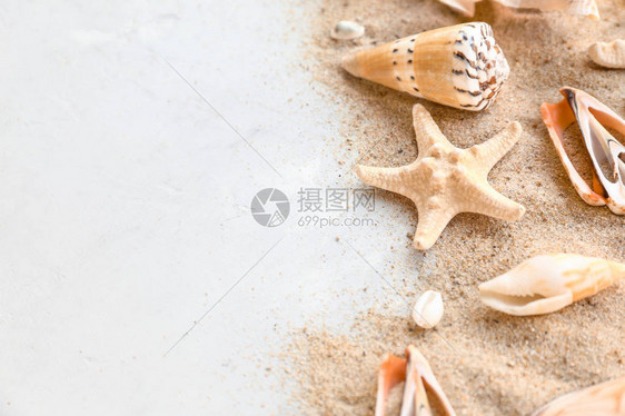 美丽的贝壳海星和浅色背景中的沙子图片