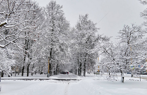莫斯科有雪树的俄罗斯著名冬季校园景色令人振图片