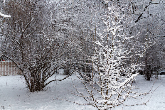 冬季童话故事雪覆盖的冬季公园冬季时间图片
