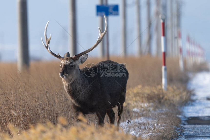 雄鹿核心转会丹佛开启新赛季征程