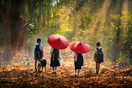 社区生活一群穿着校服的孩子早上带着一条狗在森林里散步去上学男孩和女孩拿着一把红伞回图片