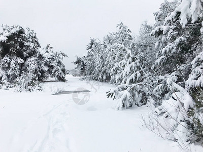 冰雪覆盖的景观图片