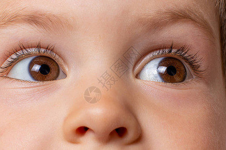 孩子棕眼睛的宏观照片儿童眼科视力图片