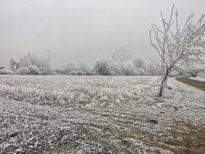 冬天结冰的雪景图片