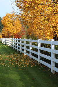 俄勒冈州乡村的白色栅栏背景图片