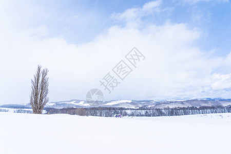 日本北海道美瑛地区美丽的户外自然景观图片