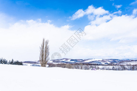 日本北海道美瑛地区美丽的户外自然景观图片