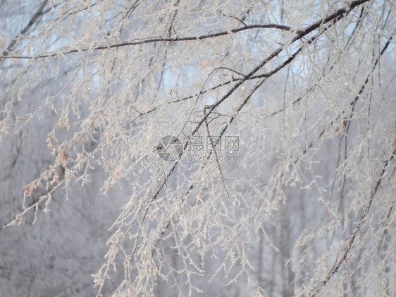 俄罗斯冬季自然图片