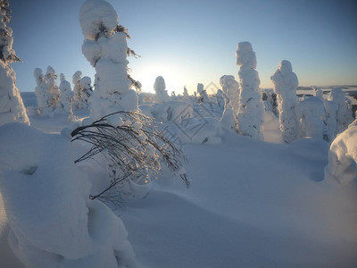 森林雪巨人偶像图片