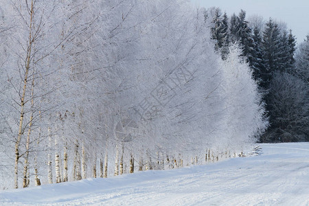 寒冷多雪的冬天在农村图片