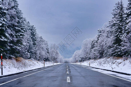 冬季北海道的直路图片