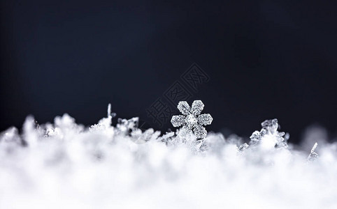 深色背景下雪花的宏观拍摄图片