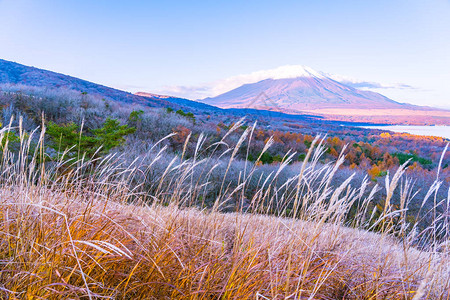 干枣日本秋季天背景