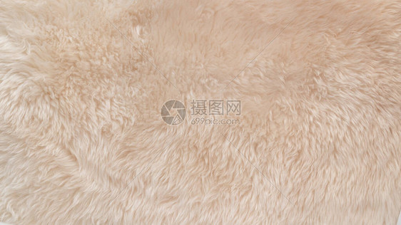 白色柔软的羊毛质地背景棉毛轻质天然动物羊毛白色蓬松毛皮的特写质地米色调的羊毛精图片