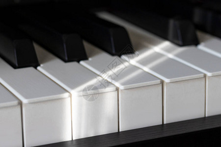 昏暗的灯光和阴影中的黑白钢琴键图片