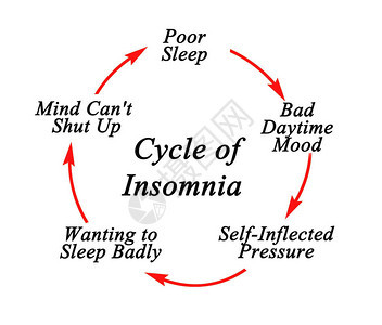 失眠周期的组成部分图片
