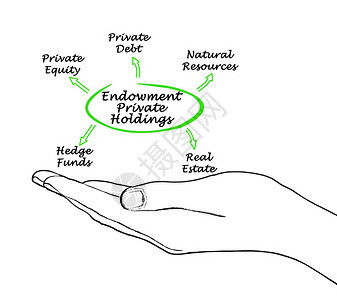 EndowmentPrivateHoldings的资产图片