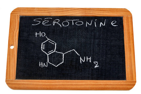 写有血清素化学式的学校石板图片