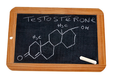书写睾丸酮化学配方的学校板块上刻有睾丸背景图片