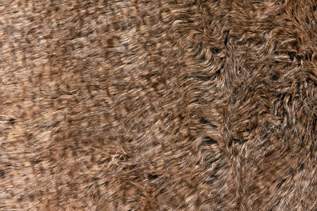 具有深色顶部纹理背景的棕色真羊毛橙色天然羊毛设计师的蓬松毛皮纹理图片