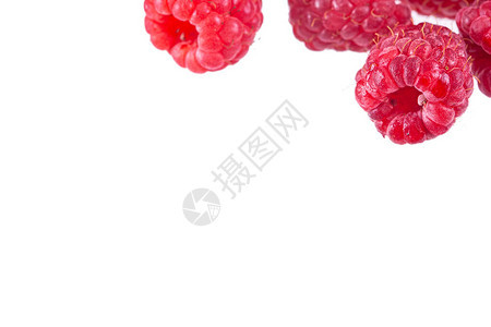 白色上的新鲜红树莓隔离图片