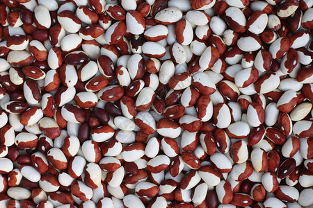 干双色红豆和白豆作为营养价值高的健康烹图片
