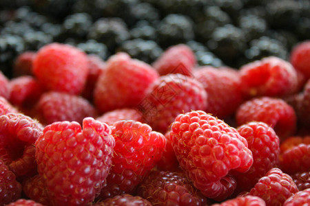 覆盆子的宏背景中覆盆子和黑莓的特写扎维多奇图片