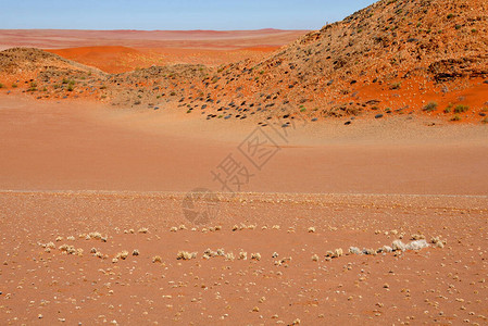 纳米布沙漠中的仙女圈直径从12英尺到114英尺不等图片