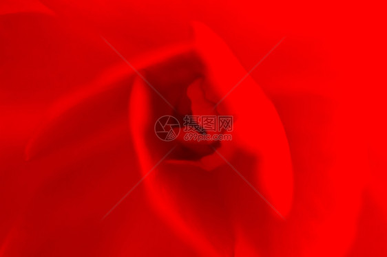 单一红贝戈尼亚抽象巨集用图片