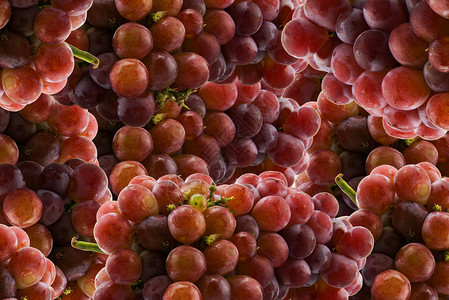 红酒葡萄红酒的小红果产品图片