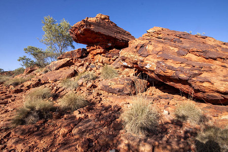 大峡谷国王峡谷的惊人岩层澳大利亚图片