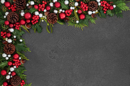 圣诞节日背景与红色和银色篮球荷莉寄生虫和冬季植物交界图片