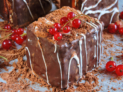 三鲜粉红醋栗巧克力粉巧克力蛋糕一种美丽可口的巧克力甜点背景