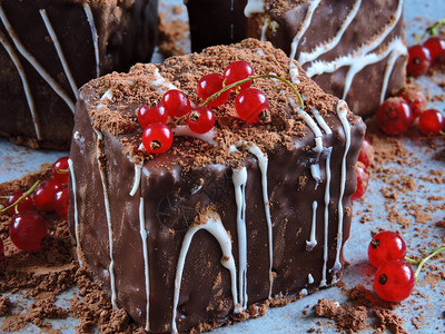 红醋栗巧克力粉巧克力蛋糕一种美丽可口的巧克力甜点图片