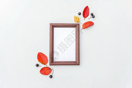 秋季花卉组成垂直相框样机在白色背景上模拟苦莓花楸浆果五颜六色的叶子秋季自然植物生态清新壁纸概念平躺顶图片