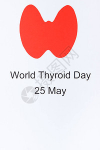 红色甲状腺形状由纸和题词制成5月25日世界甲状腺日甲状腺概念的问题白色背景背景图片