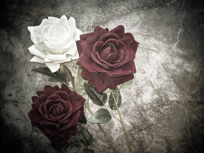 在深色背景上三朵美丽的人造玫瑰两朵红图片
