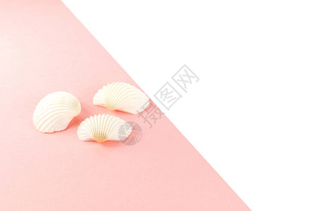 夏季热带度假背景粉红色背景的白贝壳复制空图片