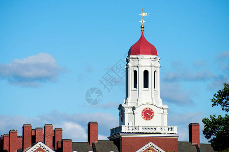 美国波士顿桥大学附近的Dunster图片