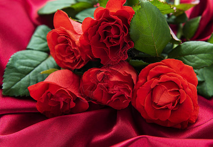 红玫瑰花束在丝绸背景上图片