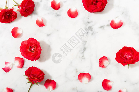 红玫瑰和花瓣在大理石背景情人或婚礼背景爱情概念图片