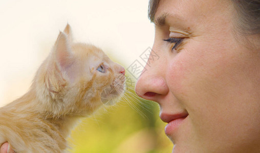 快乐的女孩把一只好奇的橙色小猫靠近她的脸一个快乐的年轻白种女人抚摸一只美丽的红色虎斑猫的可爱镜头好奇的小猫背景图片