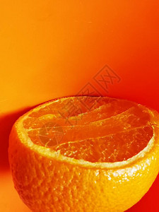 橙色圆橘色橙色背景特配健康营养和图片