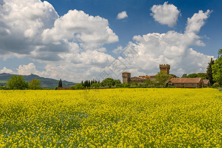 Spedaletto城堡建于12世纪图片