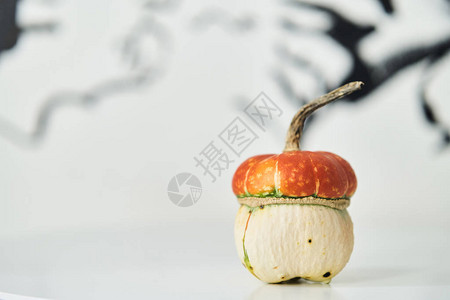 蘑菇形装饰南瓜白色背景上的小南瓜图片