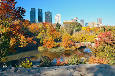 曼哈顿中央公园纽约市秋天有桥图片